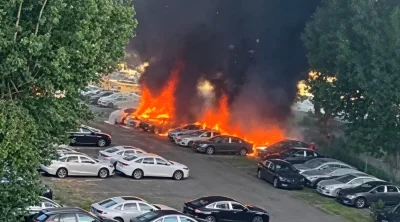 Kebakaran Akibat Bulu Poplar Hanguskan 20 Mobil Listrik di Dalian
