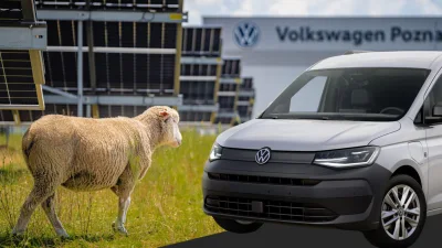 VW Ganti Mesin Pemotong Rumput dengan 100 Domba di Pabrik Polandia