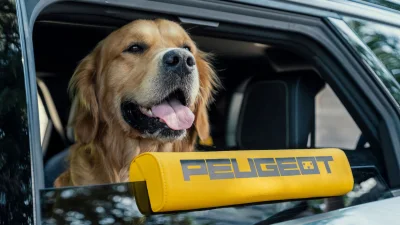 Peugeot E-5008 Dog Edition: Konsep SUV Ramah Anjing dengan Fitur Pencari Hewan