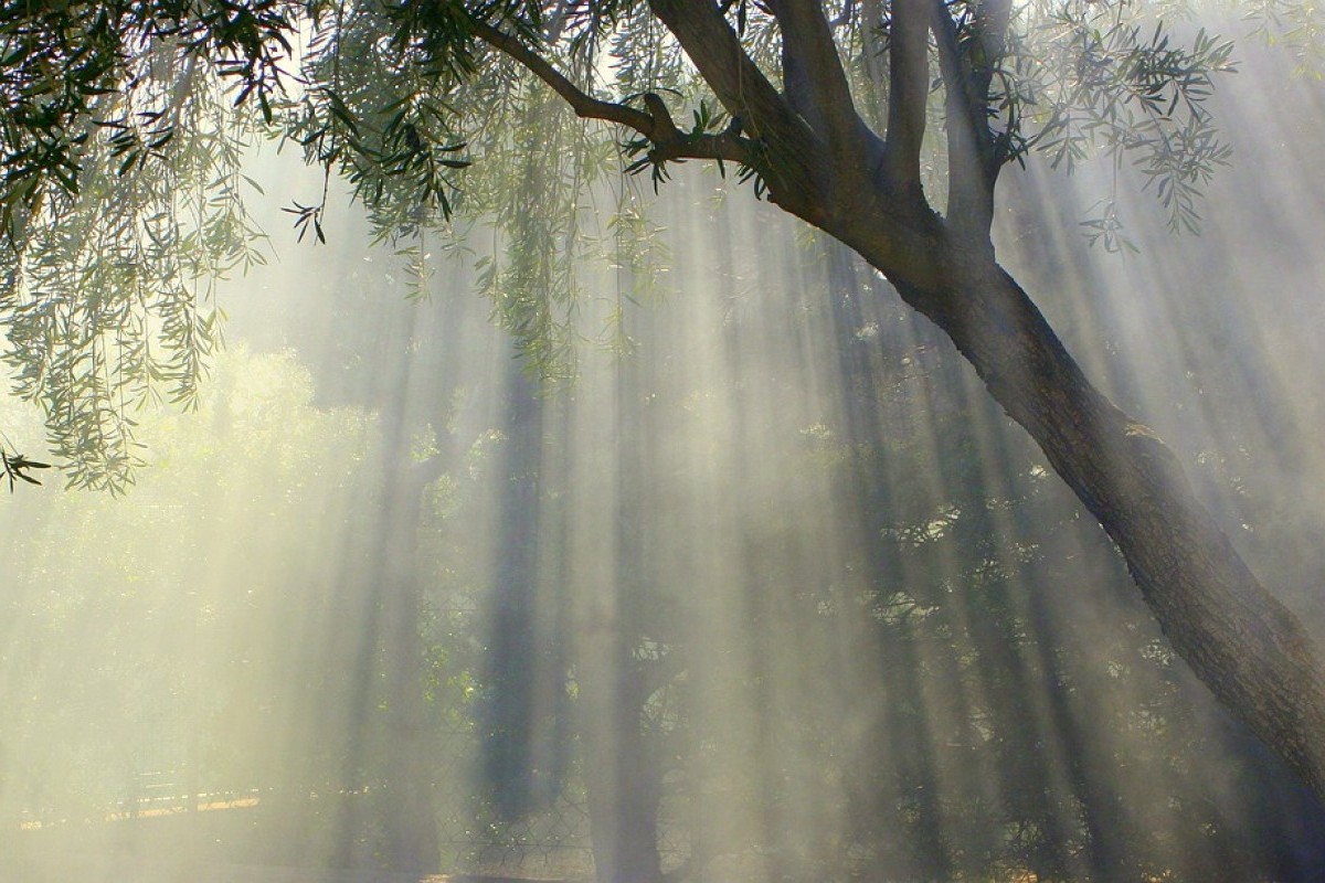 Kabupaten Balangan, Terobosan Baru Pembangunan dan Pelayanan Pemerintah Ternyata Hasil Pemekaran Wilayah di Kalimantan Selatan