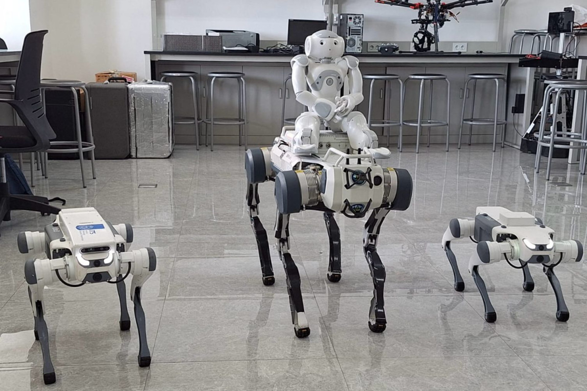 ITS Kembangkan Robot Anjing Dengan Sensor dan Navigasi