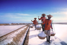 Imbas Munculnya Provinsi Baru Hasil Pemekaran Jawa Timur, Pamekasan Bakal Pecah Jadi 2, Cek Infonya