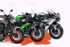 Ngak Cuma Ninja H2, Ini Daftar Kendaraan Moge yang Dijual Kawasaki di Indonesia, Harganya Bikin Merinding