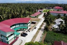 Peringkat Satu di Nusa Tenggara Barat! Temukan 3 SMA Negeri dan Madrasah Terbaik, Jangan Heran Jika Ini Juaranya