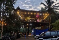 Dekat Rumah Tiara Andini? Temukan 10 Kafe Terkenal di Jember, Jawa Timur, Apakah Ada yang Anda Ketahui?