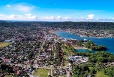 Papua Bakal Tambah Provinsi? Usul Pembentukan Provinsi Baru di Papua, Mengungkap Rencana dan Alasan Dibentuknya Papua Barat Tengah