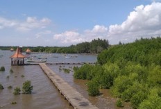 Jelajahi Pesona Tersembunyi! 5 Pantai Terindah di Probolinggo yang Menyerupai Keindahan Bali!