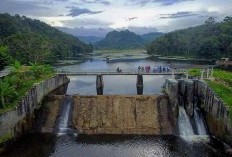 Lahat Muaraenim dan Muaratara Pilih Tinggalkan Sumatera Selatan Pilih Bentuk Provinsi Baru, Cek Info Pemekaran Terbaru Ini Realita, Cuma Wacana Atau Hoax?