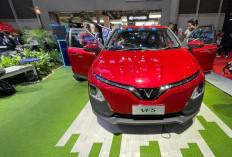 Testimoni VinFast VF 5 jadi Mobil Perdana yang Ideal Bagi Keluarga Muda