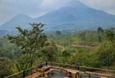 Keamanan Tetangga! 3 Lokasi di Jawa Timur yang Bebas dari Nyinyiran, Sangat Damai, Cocok untuk Tempat Tinggal, Selain Batu dan Malang