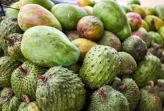 Kelezatan Buah Lokal! 5 Kawasan Pemasok Buah Sirsak Terbanyak di Indonesia, Cek Lokasi dan Daerahnya Agar Bisa Beli Borongan!