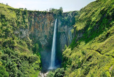Ternyata Ini 3 Provinsi Baru di Sumatera, Usulan Pemekaran yang Cocok Untuk Segera Terealisasi