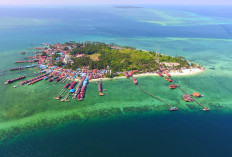 Kabupaten dengan Biaya Hidup Termahal di Kaltim,Balikpapan dan Samarinda Ternyata Bukan Tertinggi, Lalu Daerah Apa?