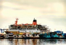 Palopo Makin Berjaya Usai Gantikan Makassar jadi Ibukota Baru dengan Iming-Iming Tanah Seluas 45.764,53 km persegi, Sayang Penduduknya Sudah Duluan Membeludak