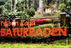 Tak Banyak yang Tahu, Ini Dia 5 Destinasi Wisata yang Menarik di Banyumas Jawa Tengah yang Pantas Dikunjungi