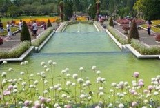 Jarak 280,9 Km dari Padang, Kabupaten Ini Dipertimbangkan sebagai Calon Ibukota Baru Sumatera Barat? Rencana Pemekaran Sumbar Menuju Terbentuknya Provinsi Baru