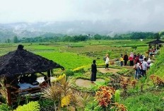 Landak Bukanlah Nama Hewan, Tetapi Apa? Nama Kabupaten Landak di Kalimantan Barat Ternyata Berasal dari Singkatan