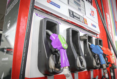 Pertamina Patra Niaga Sesuaikan Harga BBM Non Subsidi, Pertamax Tetap