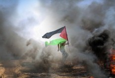 Beli Ini Artinya Pro Israel: Deretan Produk Di Indonesia Yang Berafiliasi Dan Mendukung Israel: Rexona dan Sunlight Juga Ikutan? 