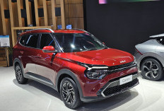 Hadir di IIMS 2025, Mengenal Lebih Dekat Kia Carnival dan Kia Carens Mobil Keluarga Teman Perjalanan Keluarga