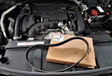 Jangan Abaikan Perawatan Drive Belt (V Belt), Karena Bisa Memicu Gangguan Serius pada Mesin