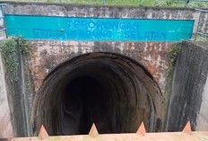 Kisah Pahit Kekejian Jepang! Terowongan Bersejarah di Jawa Timur Menceritakan Pengalaman Kelam Perjuangan dan Pembantaian Selama 79 Tahun