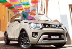 Suzuki Indonesia Stop Jualan Ignis, Inikah Penggantinya ?