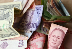 BERBURU Saldo DANA Gratis Langsung TF Sekarang Lewat Mana dan Bagaimana Caranya? Cek Tips dan Trik Ampuh hingga Daftar APK Penghasil Duit 