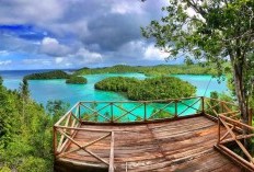 4 Daerah Paling Ramai dan Terpadat du Sulawesi Tengah, Kota Banggai dan Donggala Bukan Juara, Siapakah yang Berjaya?
