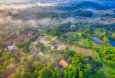 Bukan Hanya Jakabaring! Intip 4 Daerah Paling Ramai di Palembang yang Bikin Kagum, Ternyata Ilir Timur Satu Tertendang dengan Seberang Ulu Satu