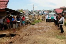 Bukan Jualan Bolu! Pasar Spesial di Sulawesi Selatan, Dekat dengan Makassar, Barang Ini yang Paling Diburu