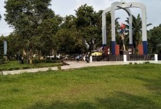 Melihat Pesona Alam yang Menakjubkan di Provinsi Bengkulu, Dari Subut hingga Ampiran, Destinasi Favorit Pendaki dan Penggemar Alam