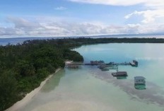 7 Daerah Termiskin di Maluku Utara, Halmahera Puncaki Posisi Teratas, Nomor 2 Kabupaten Mana?