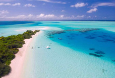 Waduh, Banyak yang Ngak Tau Pulau Terluar di Indonesia, Cek Daftar Batas Pulau Terluar di Tanah Air