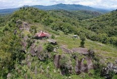 Luar Biasa! Profesi Warga Kampung Miliarder di WONOGIRI Menciptakan Keheranan, Kehidupan Mewah di Desa Terpencil Tengah Hutan