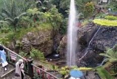 Temukan 5 Tempat Wisata Populer dan Menarik di Banyumas, Nomor Satu yang Sangat Memikat dengan Pesonanya yang Luar Biasa