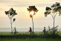 Bumi Ulama ada di Rembang Jawa Tengah! Mari Menilik Sebuah Kisah yang Terbentang Luas di Tanah Jateng Mencapai 38,28 km2