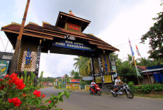 Banyak Dihuni ASN Cantik, Simak Daftar 5 Kabupaten dengan Jumlah Pegawai Negeri Terbanyak di Daerah Calon Provinsi Baru Hasil Pemekaran Sulsel