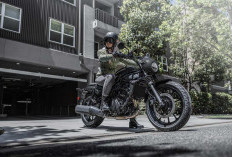 Ini Dia Penampakan Big BIke Terbaru Dari Kawasaki, New Kawasaki Eliminator. Dipatok Harga Rp 165 jutaan