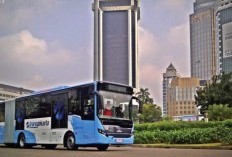 Mengerikan! Area pemakaman bus di Ponorogo memiliki luas dan kapasitas terbesar, dengan ratusan jenis bus yang tidak terpakai dan dibiarkan terbengkalai