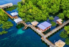 Menikmati Masakan Woku dan Keindahan Alam: Menjelajahi Kampung Indah di Manado yang Seperti Syurga Tersembunyi