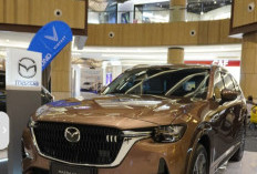 Mazda Surabaya Gelar Pameran di Pakuwon Mall Centre dan MOG Malang 