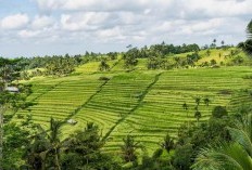 Menyingkap Destinasi Wisata di Bali yang Ramai Dikunjungi Turis Asing, Nomor 1nya Tak Terduga!