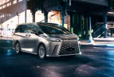 Alternatif Lebih Mewah Pengguna Alphard, Lexus LM MPV Resmi Meluncur, Harganya Fantastis