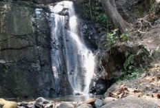 Pengalaman Keajaiban Alam Serupa dengan Niagara! 5 Destinasi Wisata Air Terjun di Jombang, Jawa Timur yang Menggetarkan Jiwa