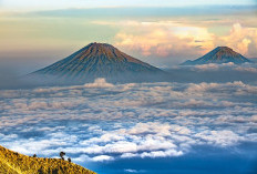 Surga Wisata di Kaki Gunung Arjuno! Menikmati Keunikan Kebun Teh Wonosari yang Menyediakan Wahana Flaying Fox, Kolam Air Hangat Serta Menunggang Kuda?