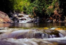 Jauh dari Keramaian, 4 Daerah Tersepi di Bengkulu yang Menawarkan Ketenangan, Nomer 1 dengan Penduduk Sedikit