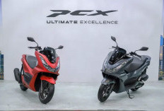 Sudah Tahu Belum? Ternyata Ini Arti Nama Motor Honda, Lengkap Mulai BeAT hingga PCX
