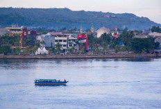 Punya Bandara, 2 Kabupaten Jadi Calon Ibu Kota Provinsi Baru Hasil Pemekaran Sulawesi Tenggara