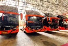 Hino Serahkan 5 Unit Bus RM 280 ABS Kepada PO Yessoe Travel Untuk Layani Masyarakat Kalimantan Tengah